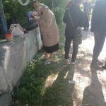бесплатное питание